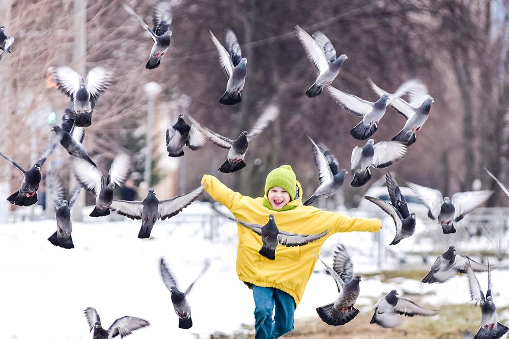 Photograph by Ирина Хромова