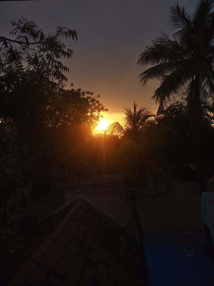 Fall Everyday Rise Another Day