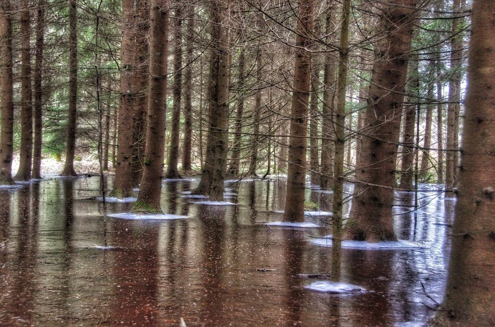 Photograph by Rasa Žičė