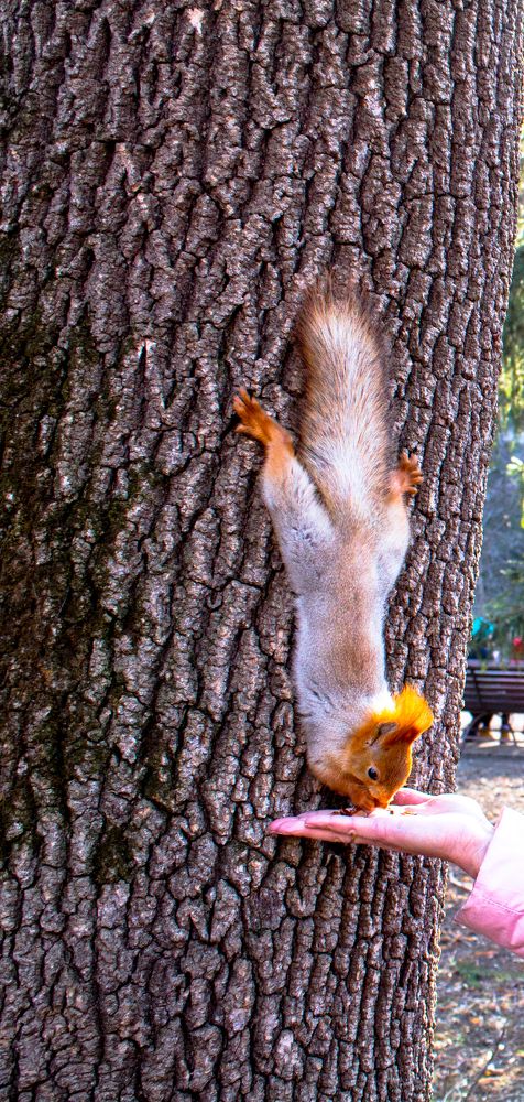 не упустить момент)