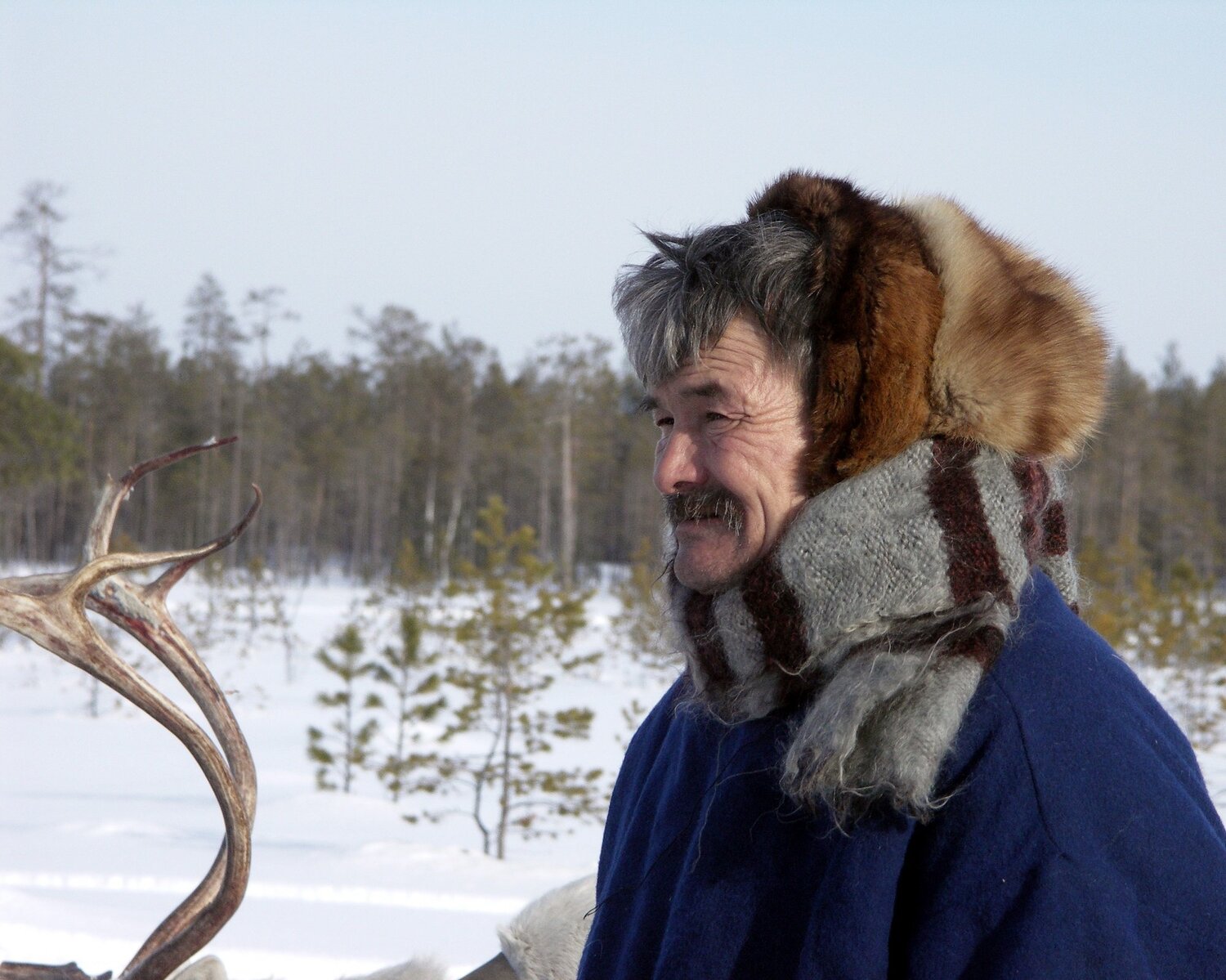 Оленевод