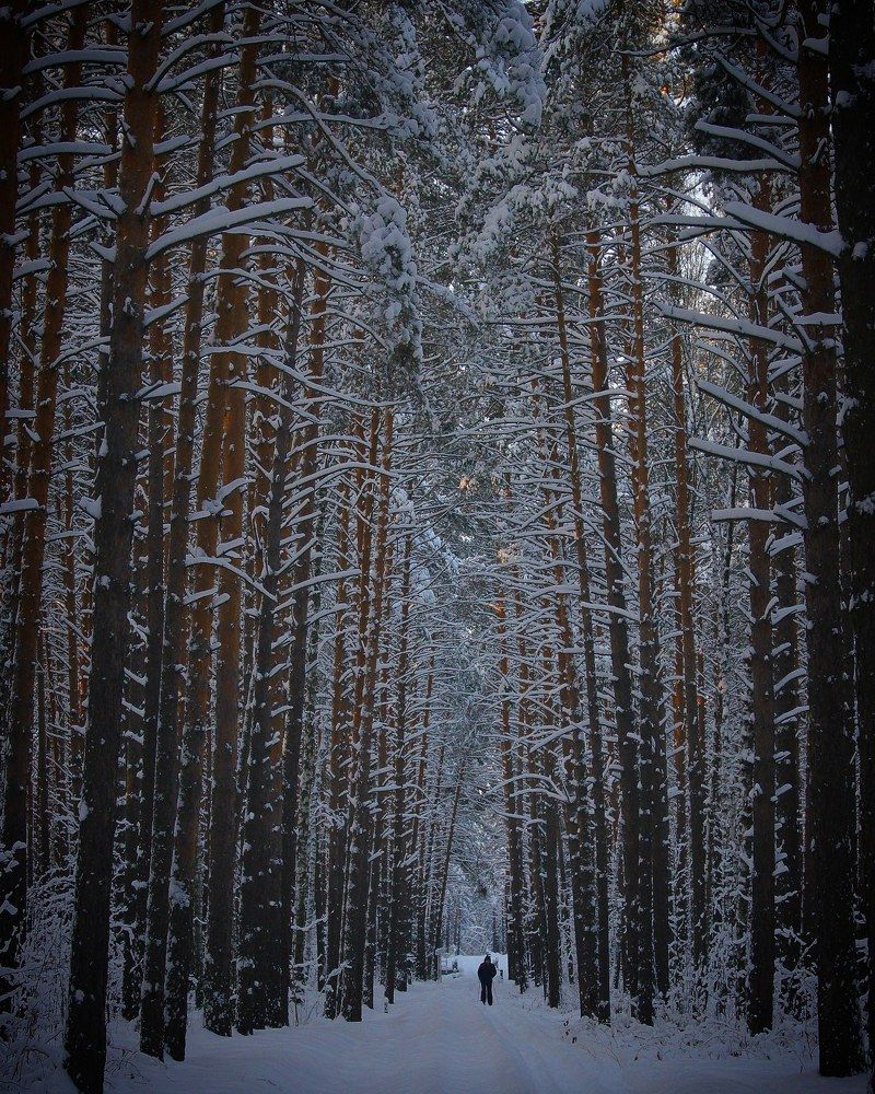 Photograph by Жбир Денис