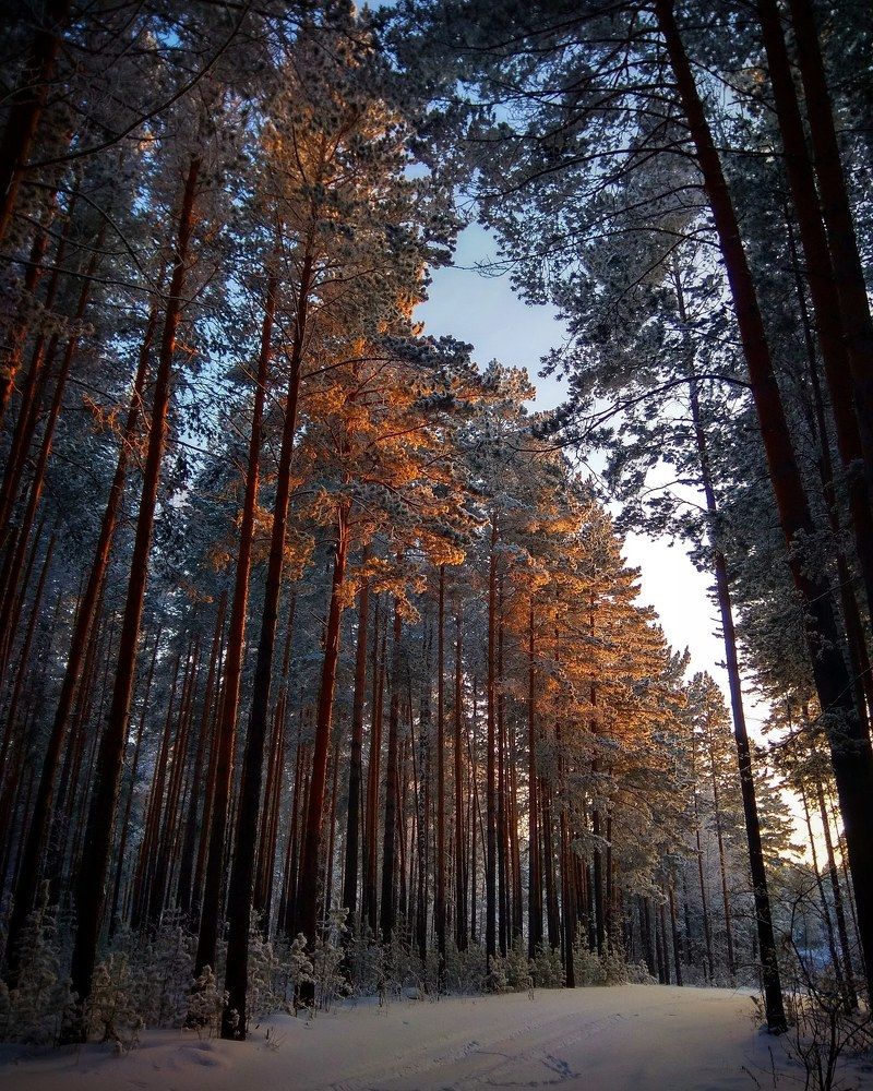 Photograph by Жбир Денис