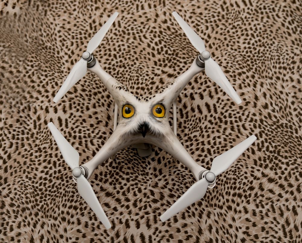 Copter + )