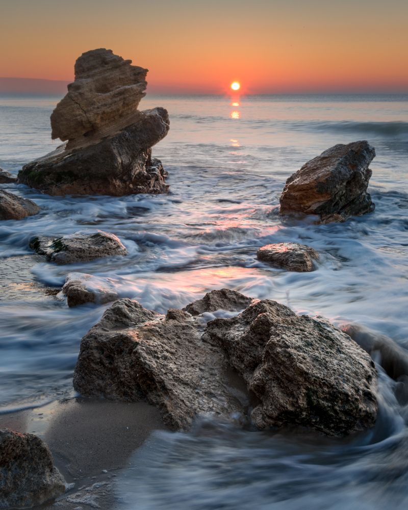 Marine symphony and sun