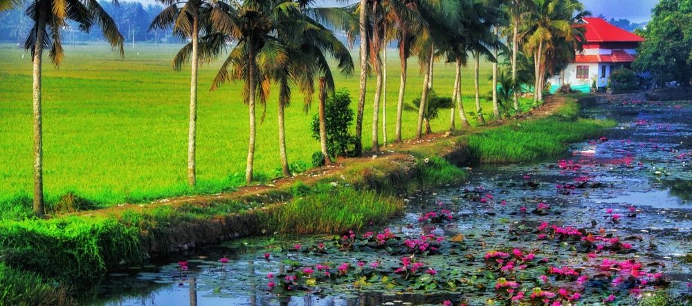 Photograph by Kamalash