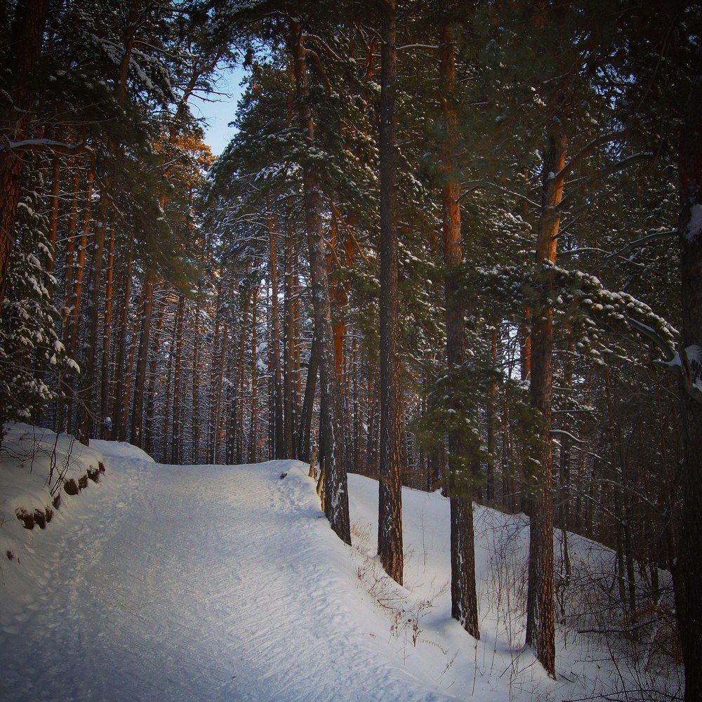 Photograph by Жбир Денис