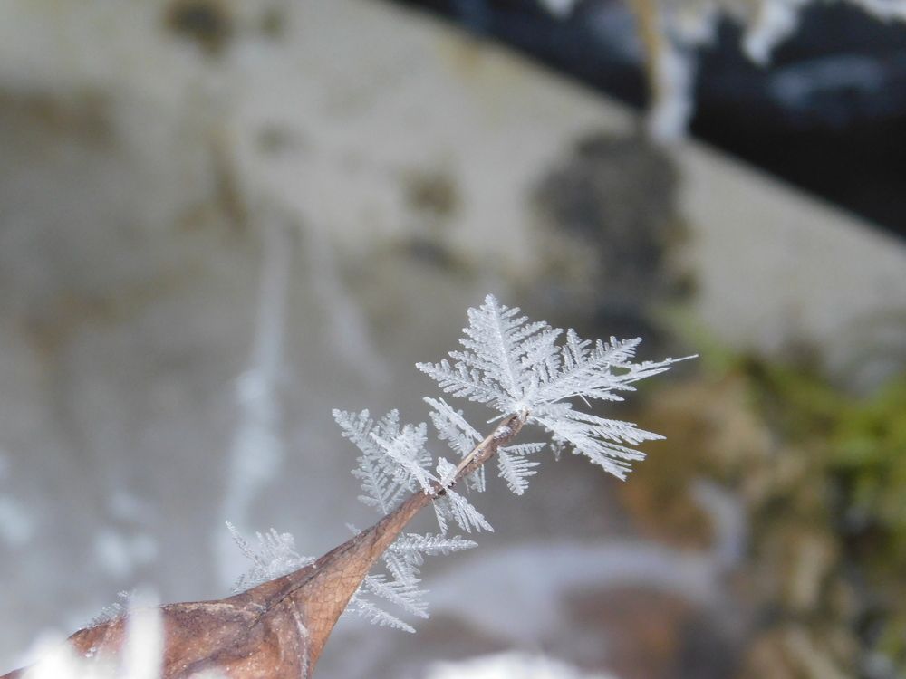 Photograph by Чкареули Светлана