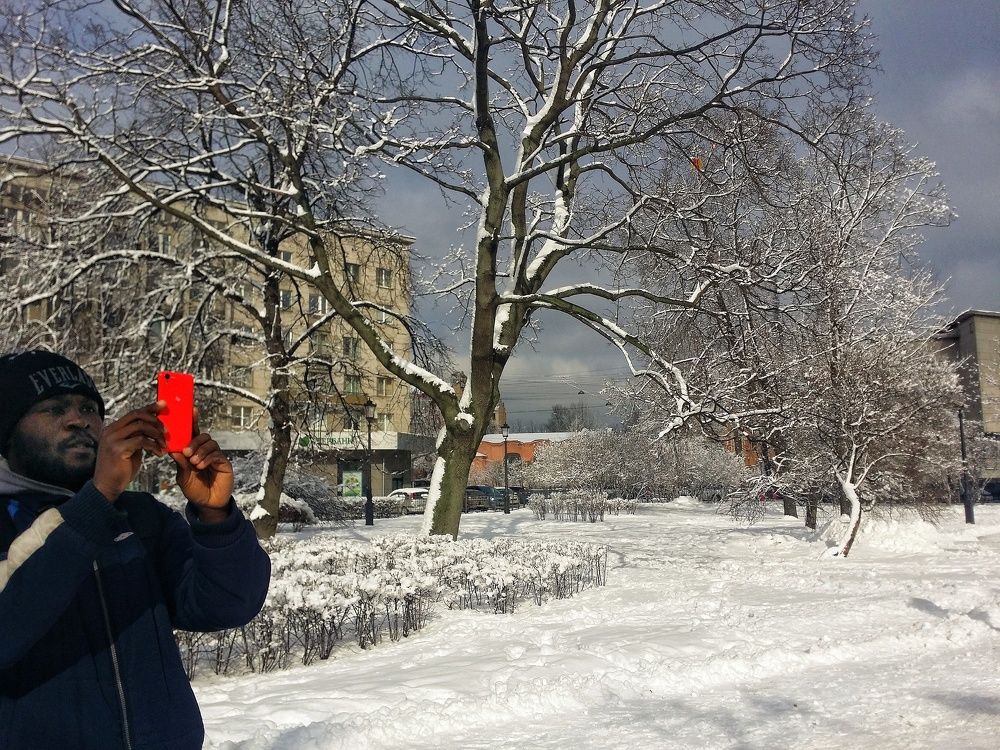 Photo #2283781