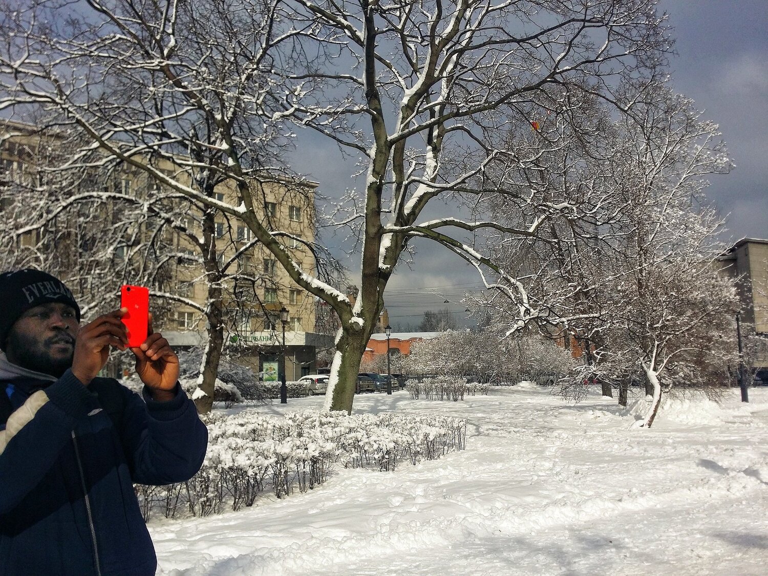 Photo #2283781