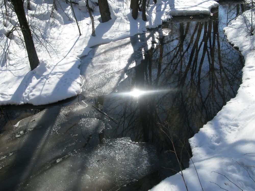 Немного солнца в холодной воде