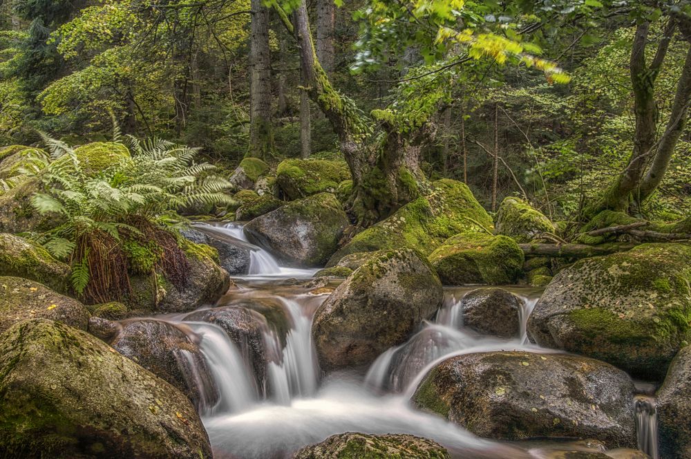 Little part of paradise