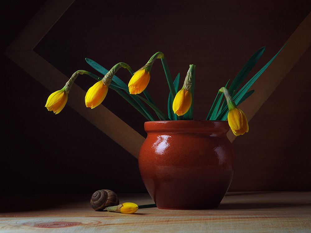 этюд с бутонами.