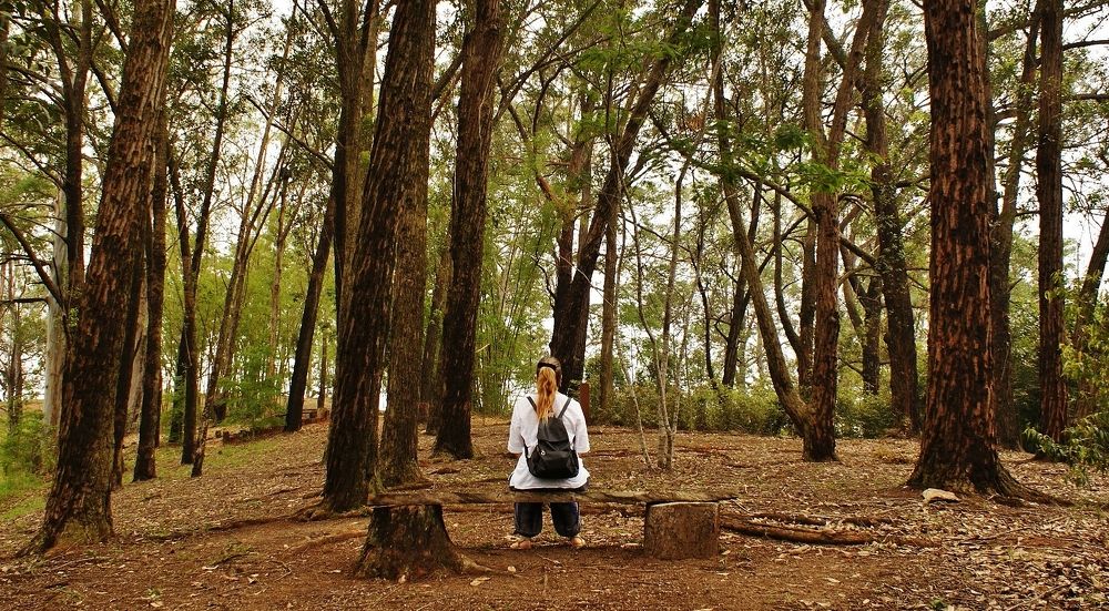 Bosque do Uaná Etê