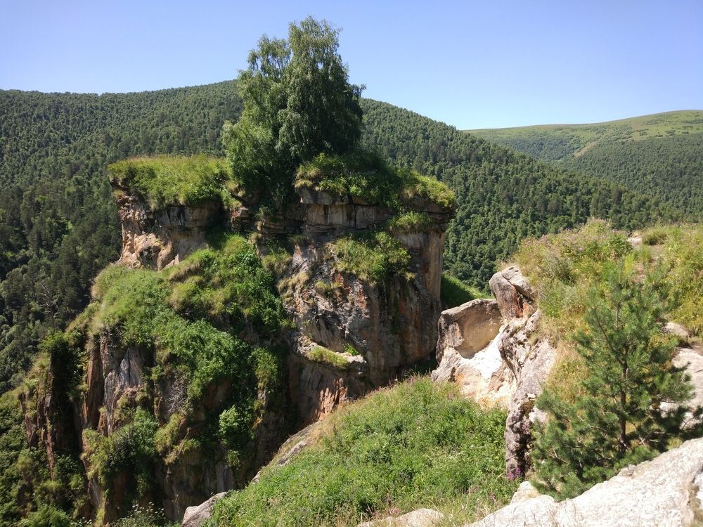Ведьмина гора