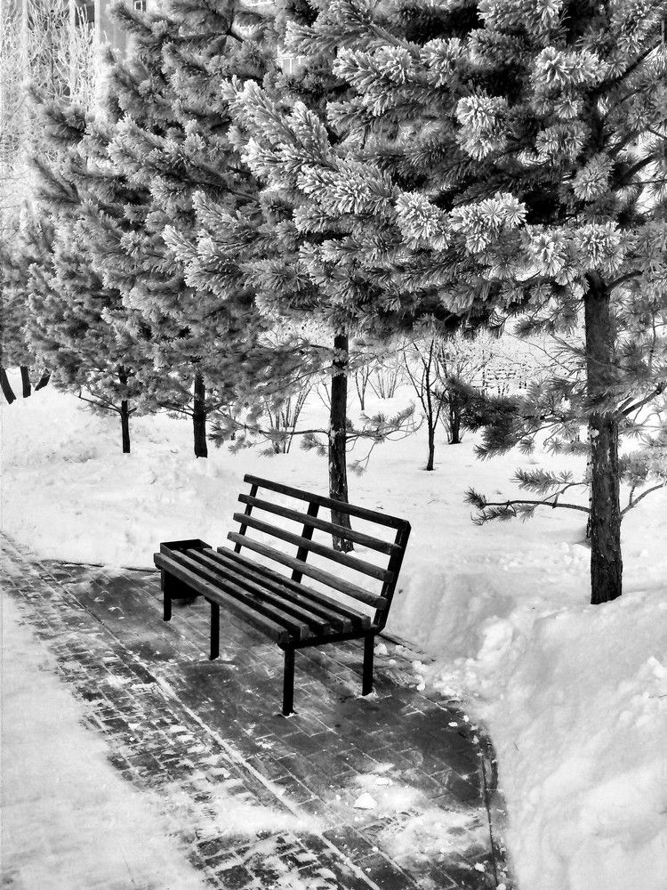 Скамейка влюблённых