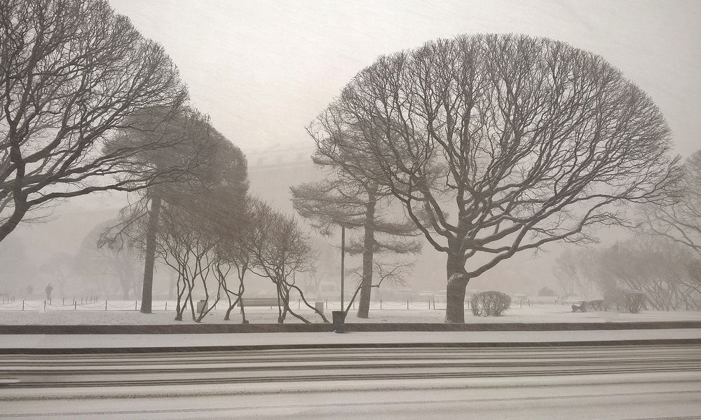 Тревожный март