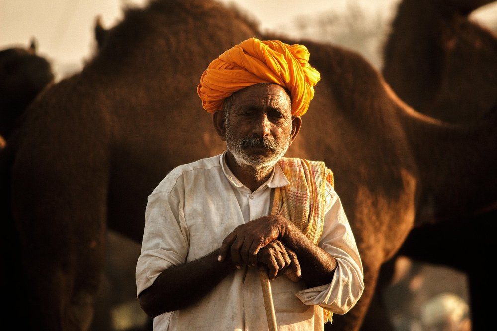 Camel Merchant