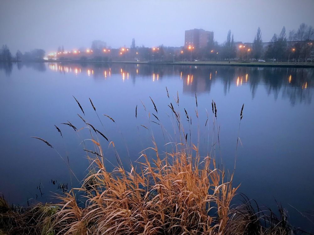 Вечер. Озеро. Туман