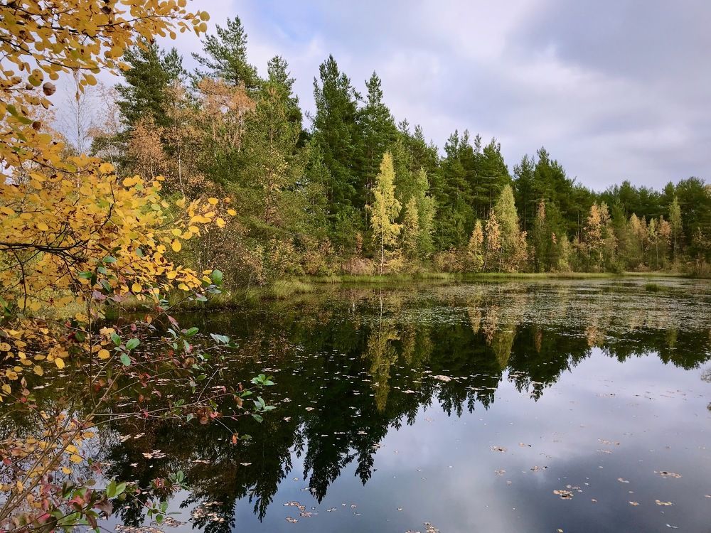 Осень на лесном озере