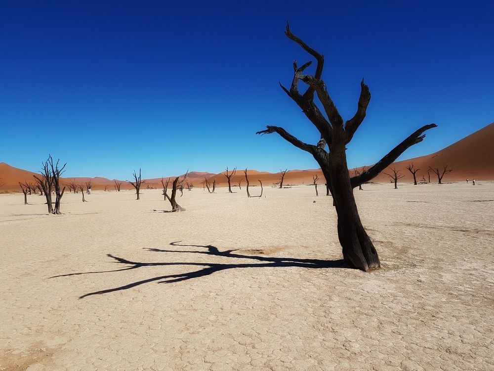 Deadvlei, um lago que secou