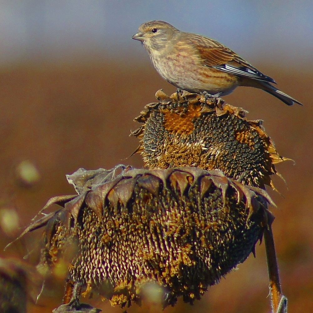 Photograph by Жбир Денис