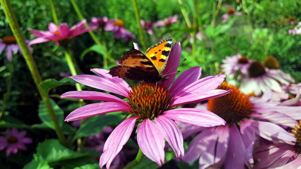 За завтраком