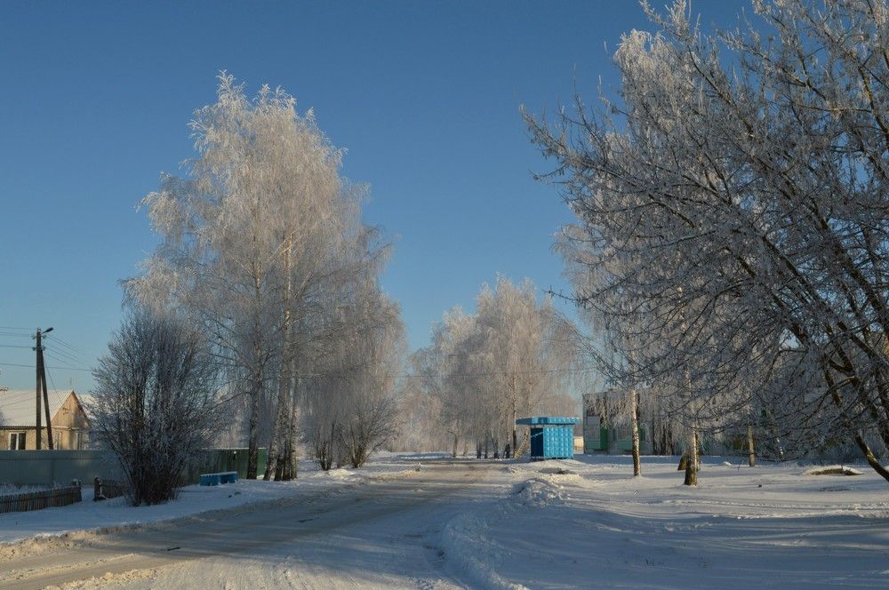 Морозное утро.