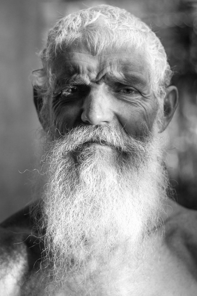 отец семейства