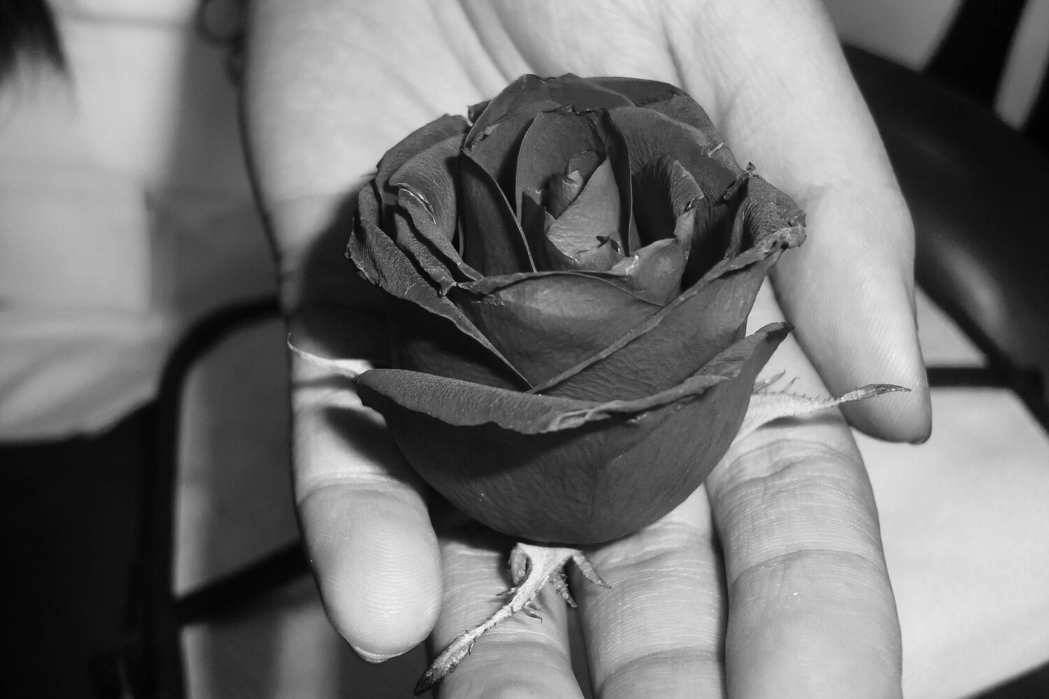 The Black Valentine