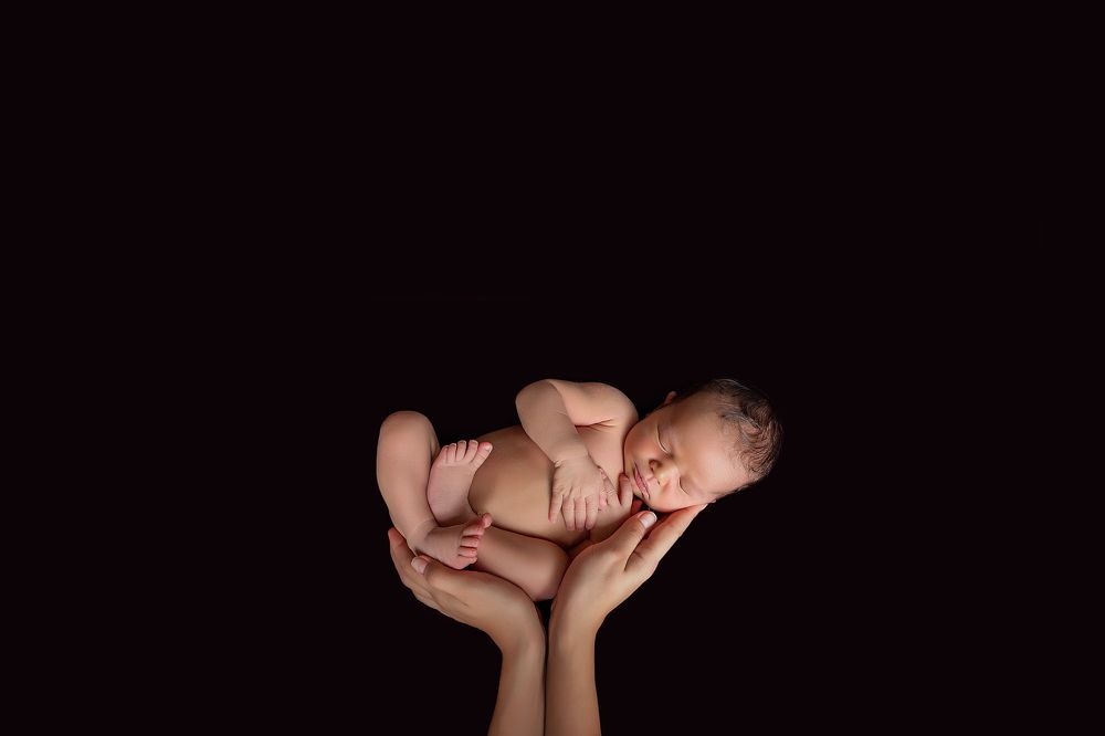 Росток новой жизни