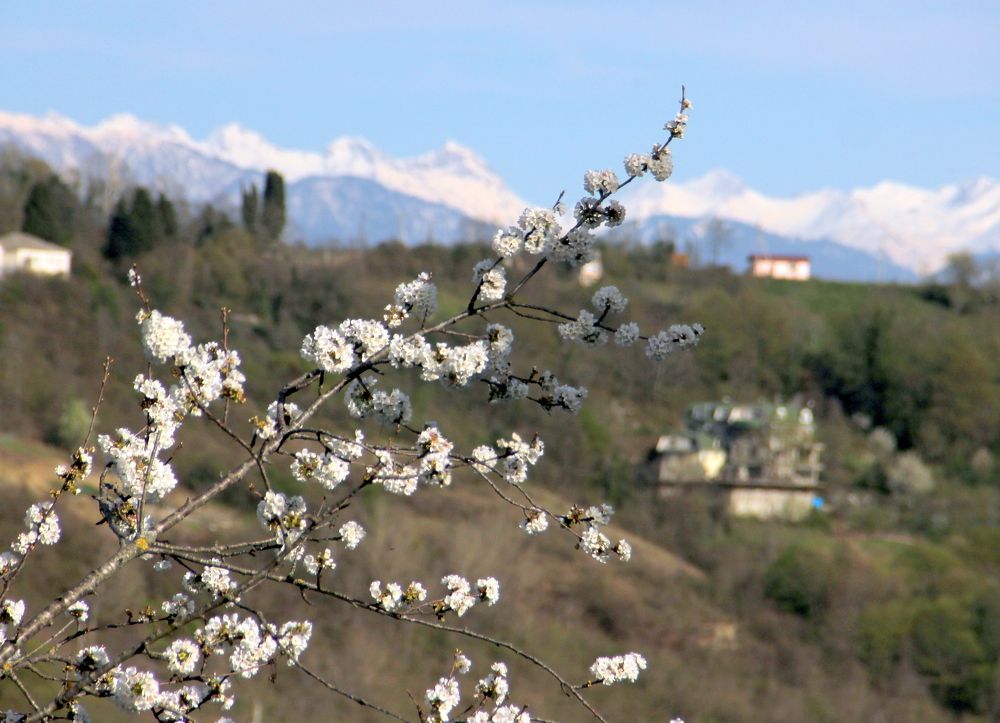 весна в горах