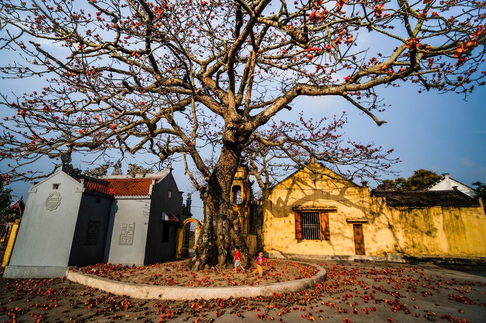 Afternoon in the countryside