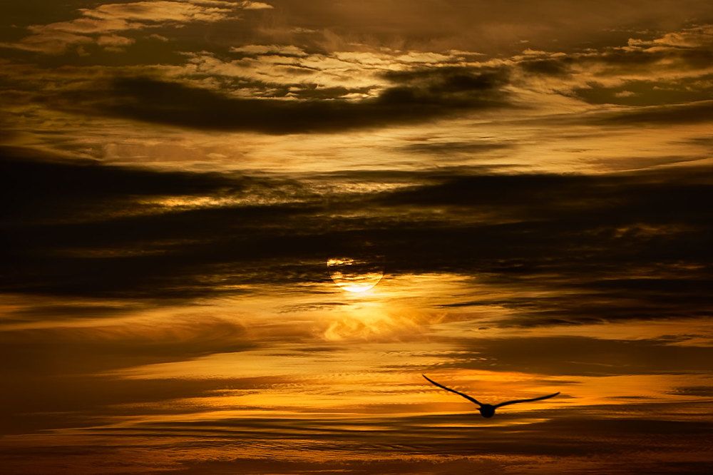 Утренний рейс