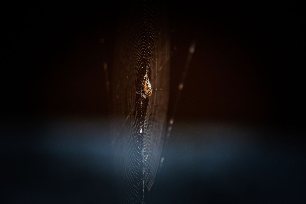 Photograph by Rushil pradhan