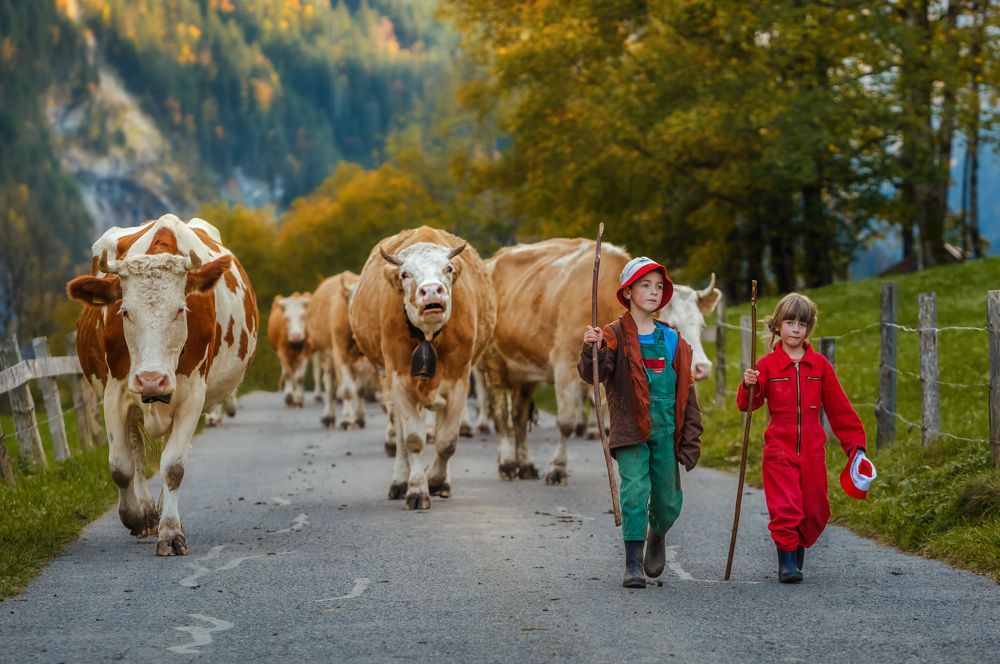 Семейный бизнес