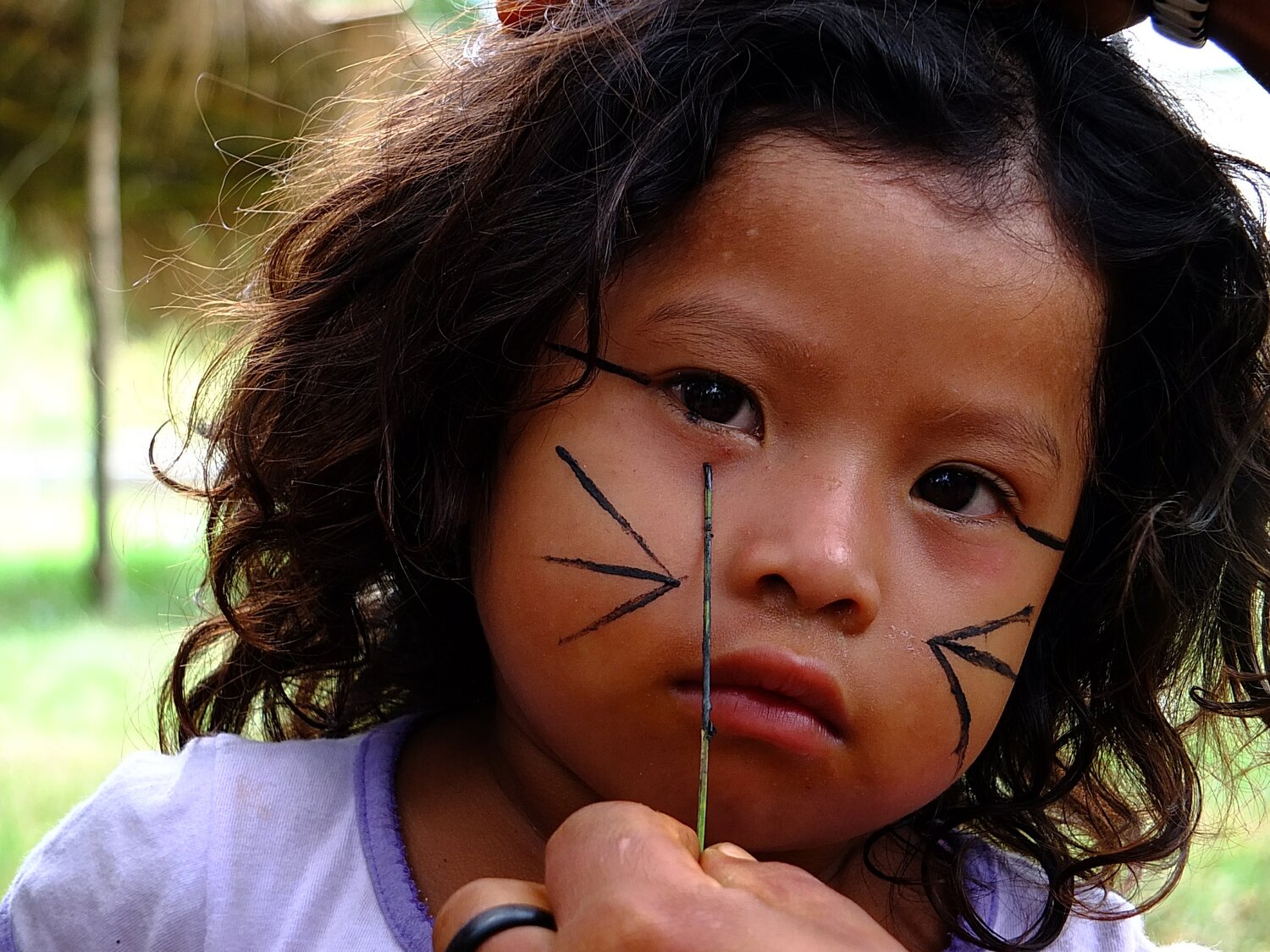 Indigena Guarani do Brasil