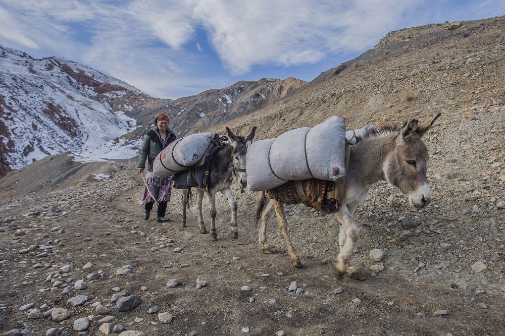 Долгий путь к заказчикам.