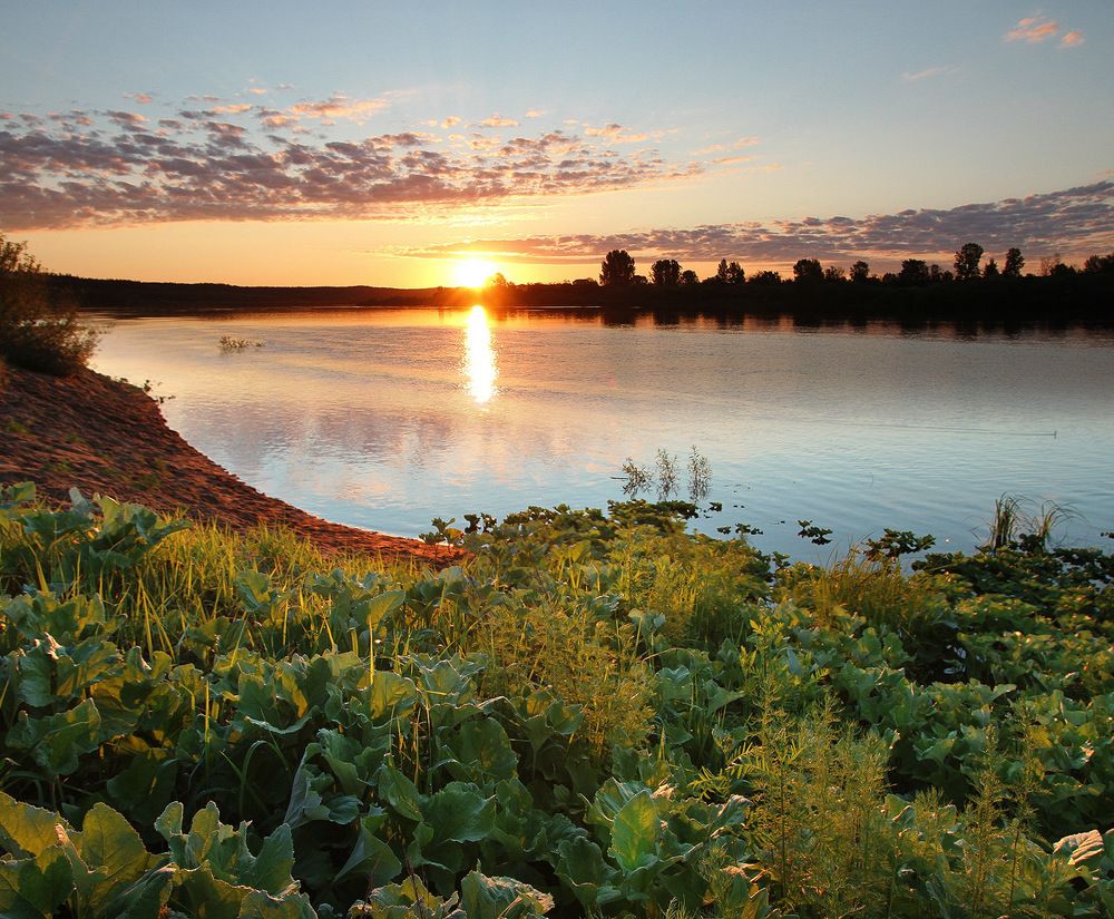 Июльский рассвет