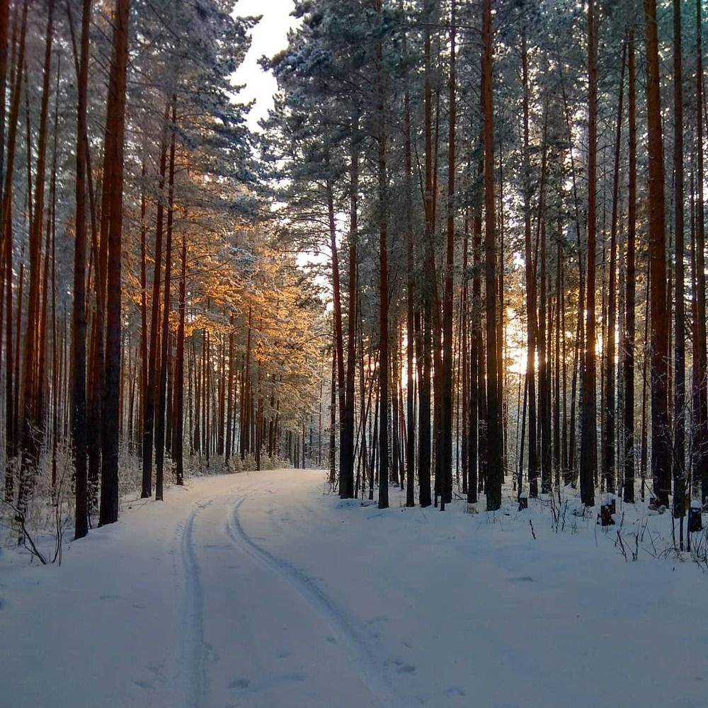 Photograph by Жбир Денис