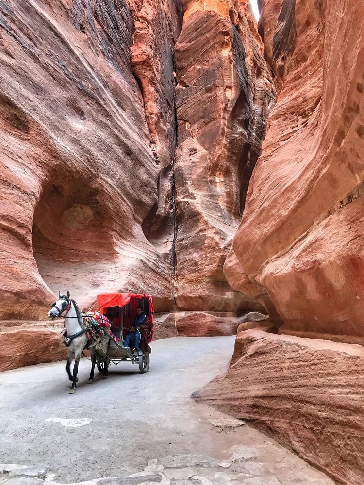 Однажды в Петре