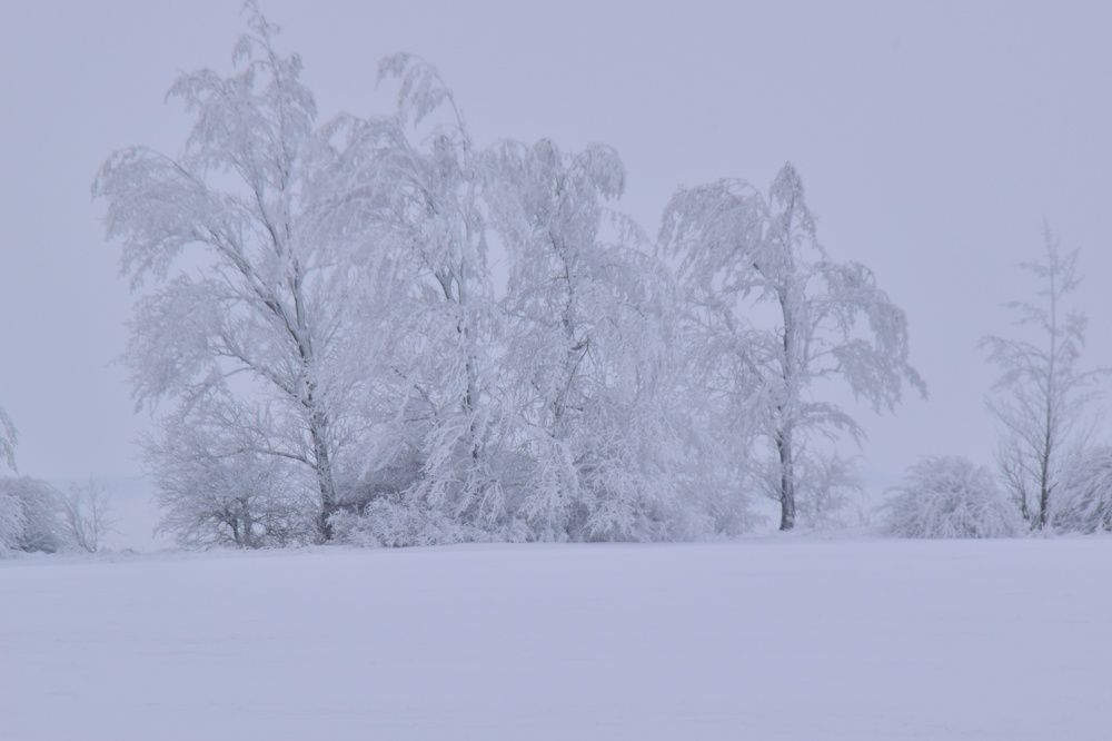 Зимнее утро