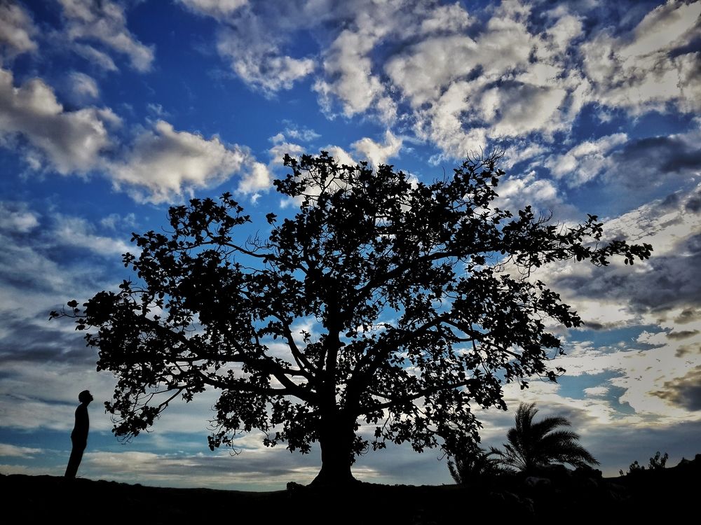 Silhouette of the soul