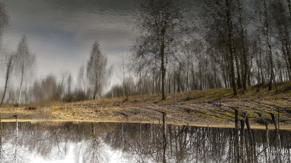 Отражение / Reflection