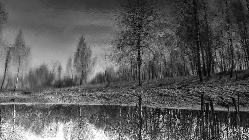 Отражение / Reflection