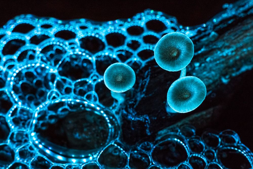 Photograph by Алексей Кашин