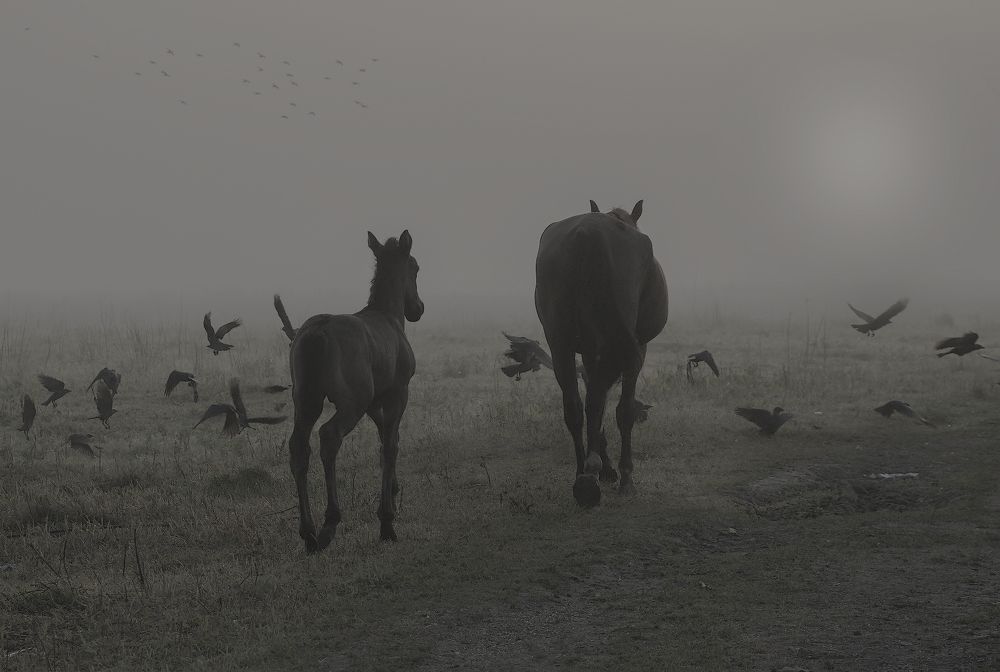 По жизни под надёжной защитой