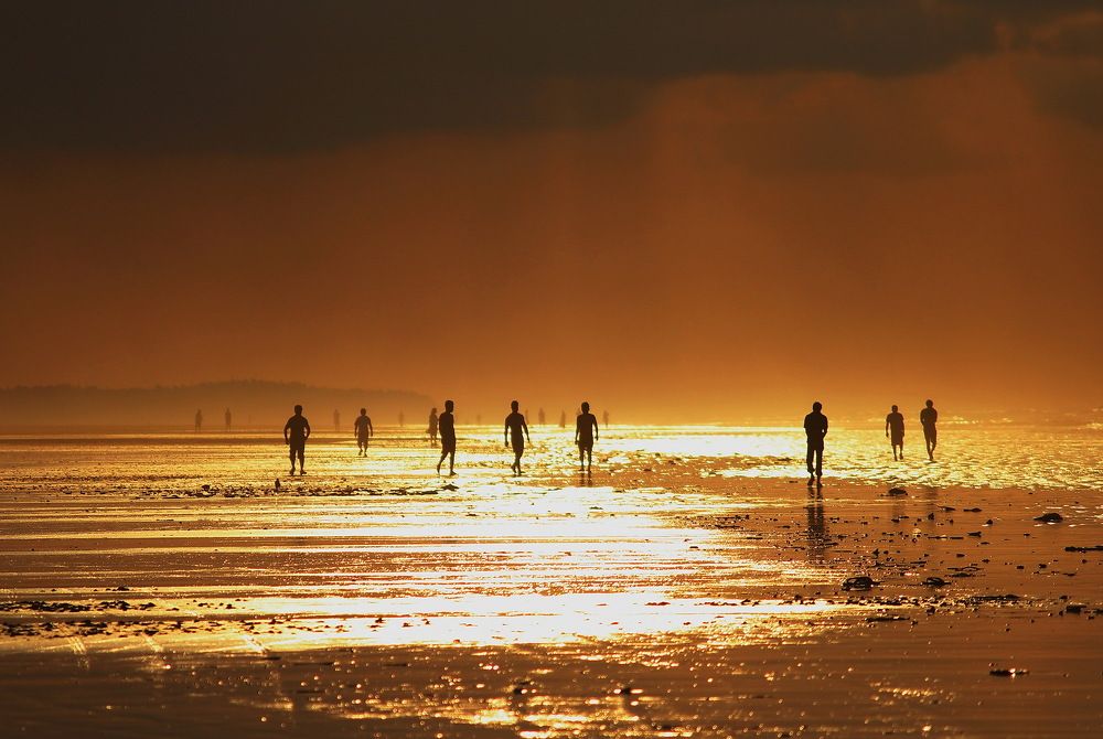 Travel in the golden world