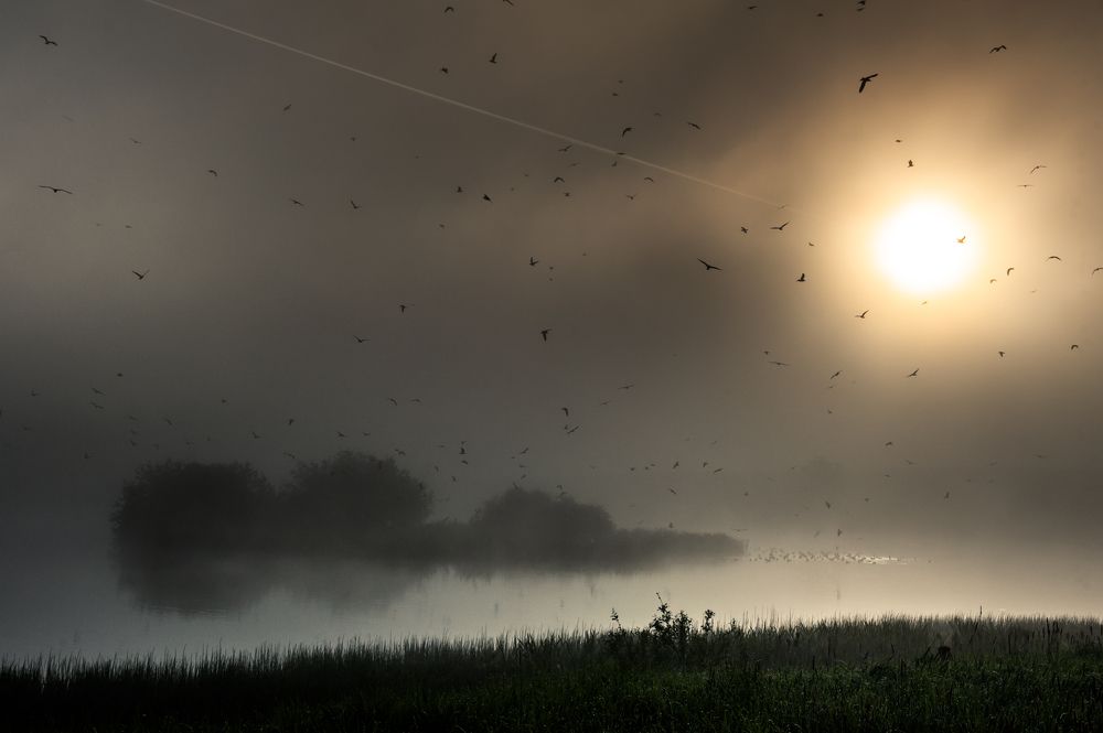 Апокалипсис