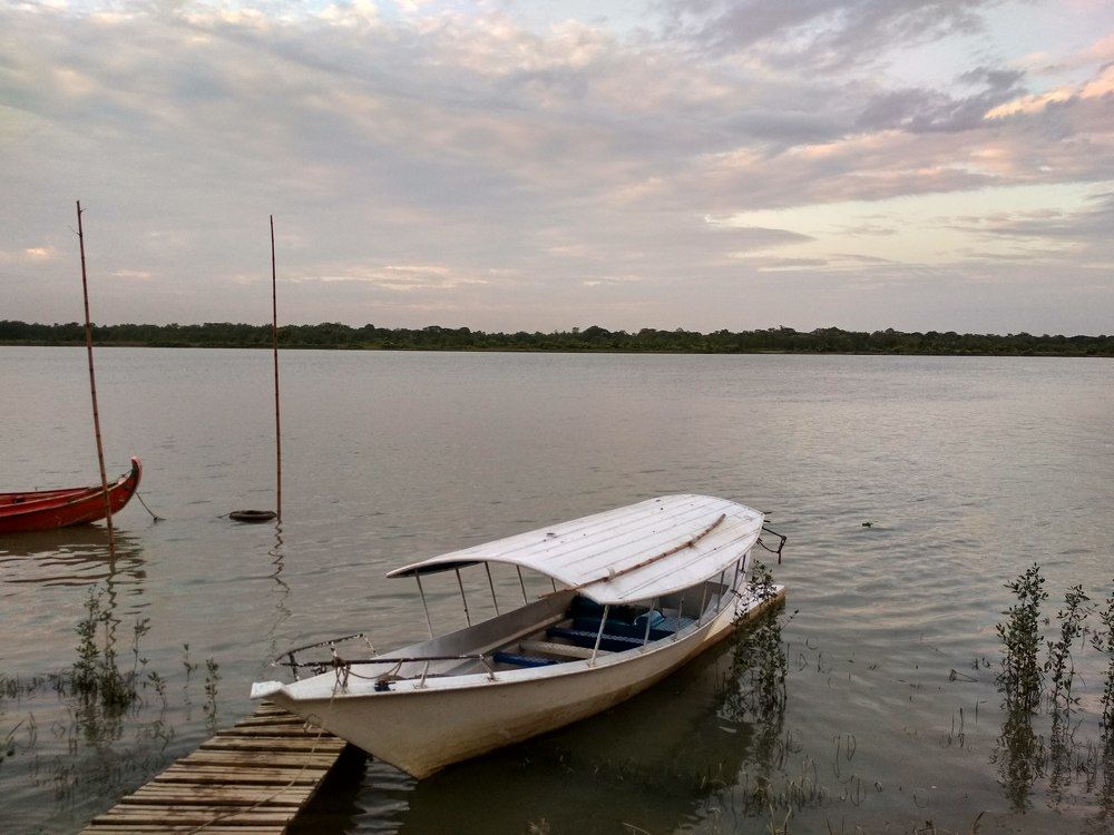 the river view